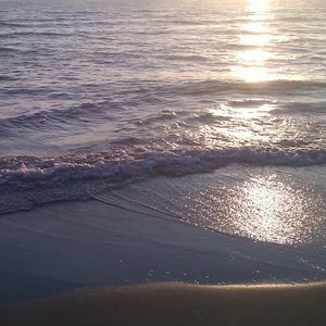 Meet your Posher, Darci